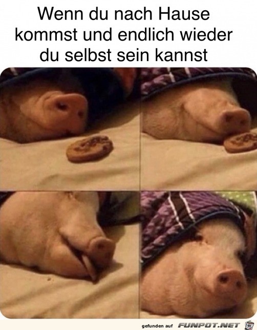 Wenn du nachhause kommst