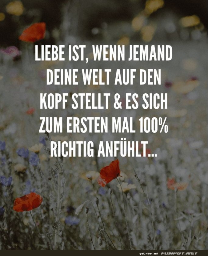 schne Sprche zur Liebe und Partnerschaft