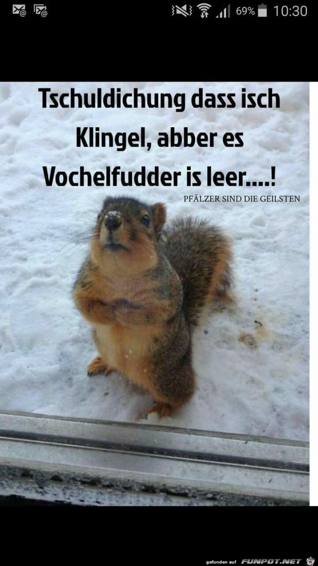 Entschuldigung... das Vogelfutter....