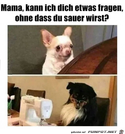 Kann ich dich was fragen?