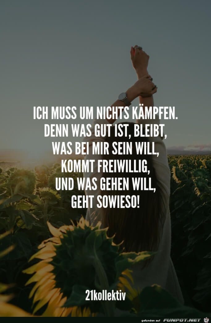 Get Lebensweisheiten interessante sprueche For iPhone