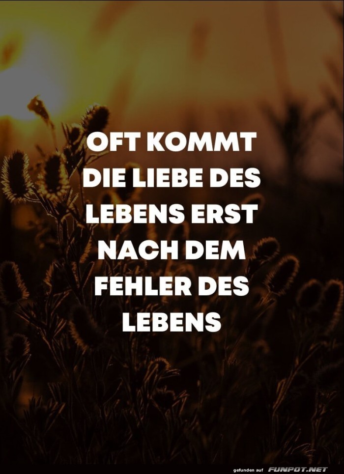 schne Sprche zur Liebe und Partnerschaft