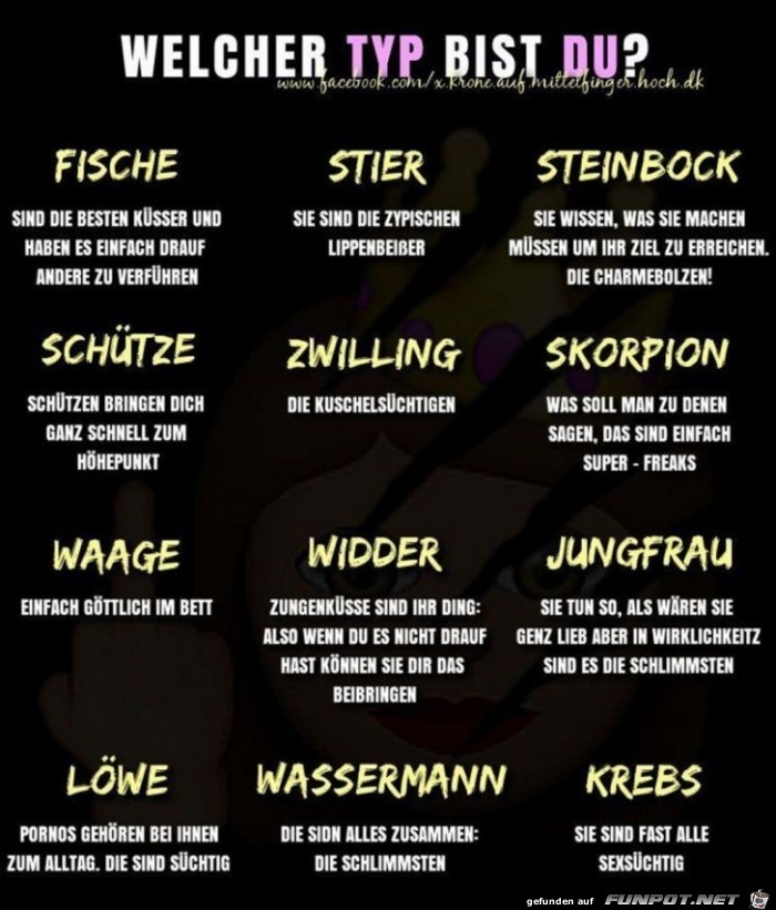 welcher Typ bist du ?