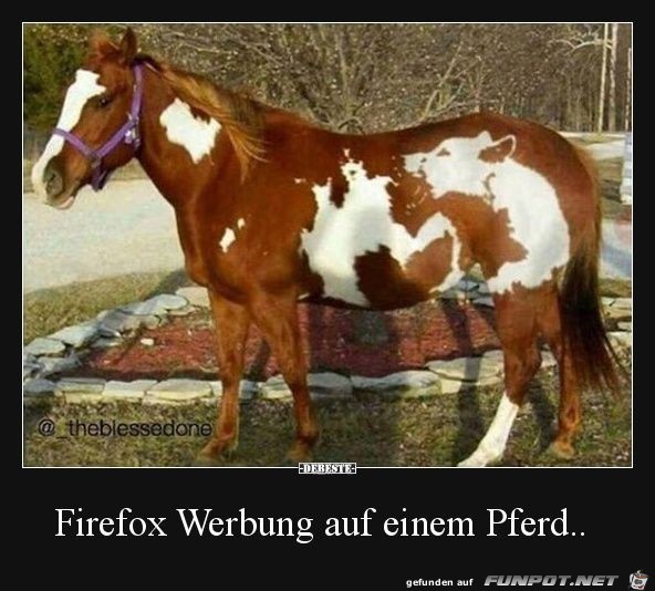 Firefox Werbung auf einem Pferd