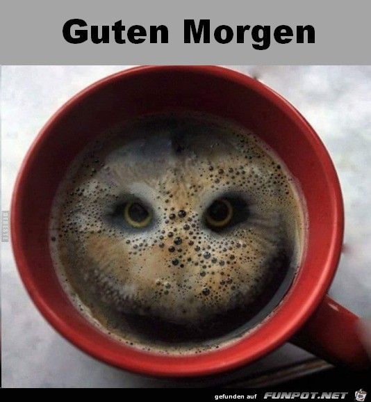 Guten Morgen