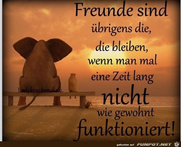 Freunde sind die...