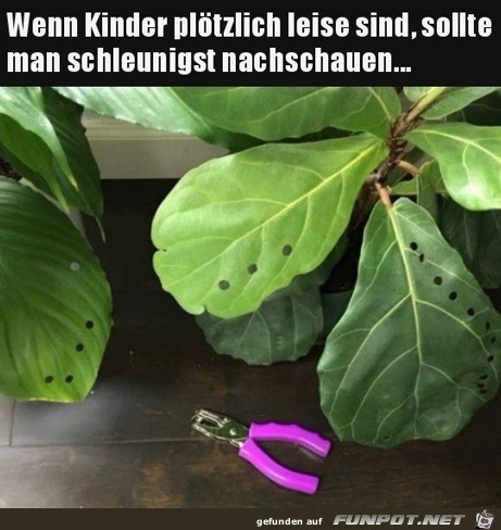 Kinder und Pflanzen