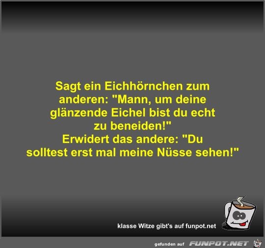 Sagt ein Eichhrnchen zum anderen