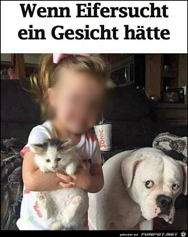 Wenn Eifersucht ein Gesicht htte