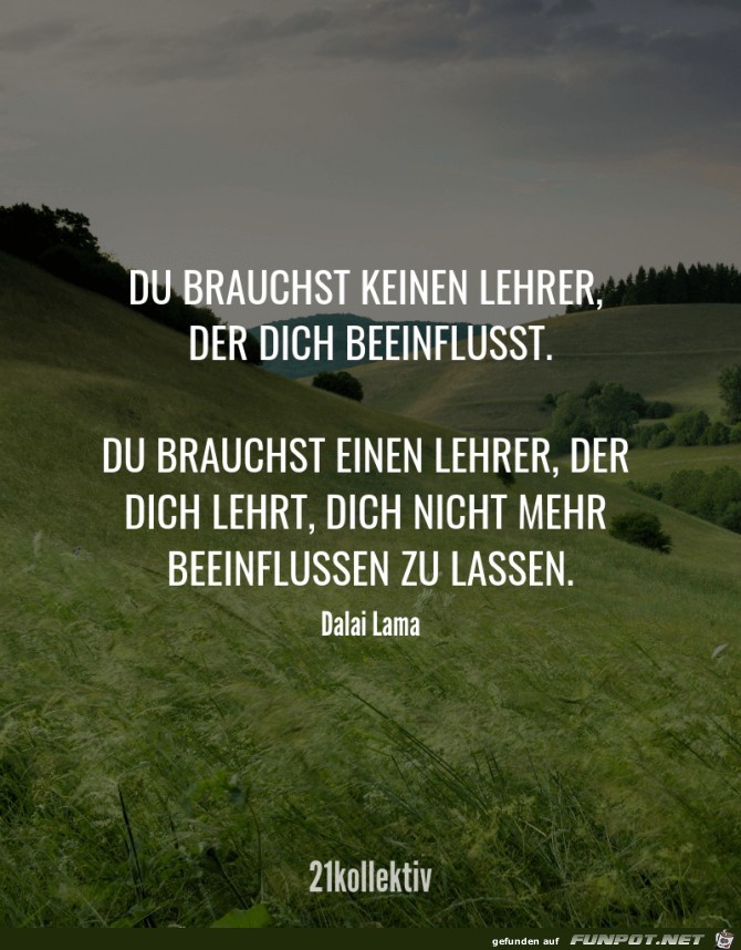 Du brauchst keinen Lehrer...