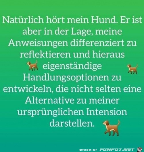 Mein Hund hrt