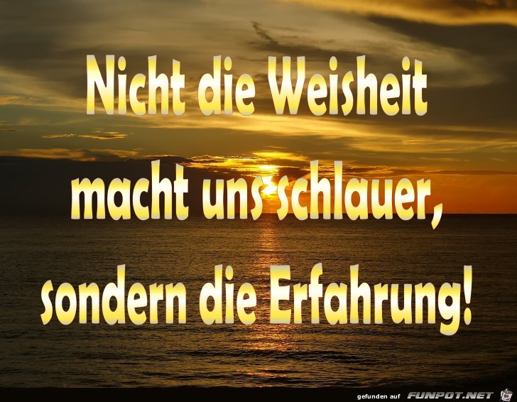 Spruch Erfahrung