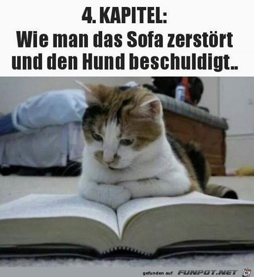 Wie man ein Sofa zerstrt