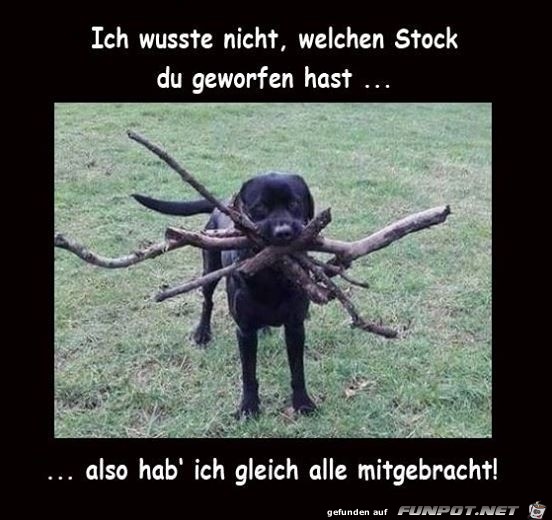 Wusste nicht welchen Stock du geworfen hast