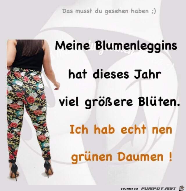 meine Blumenleggins