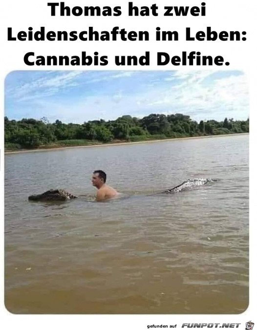 Cannabis und Delfine