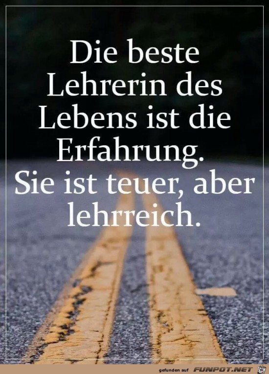 Die Erfahrung