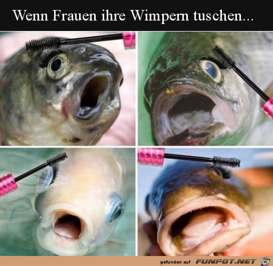 Wenn Frauen ihre Wimpern tuschen