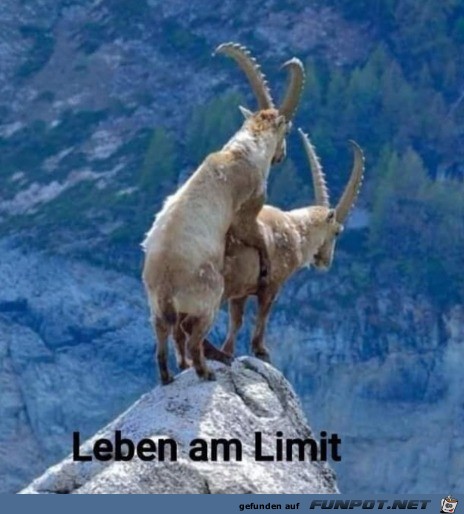 Leben am Limit