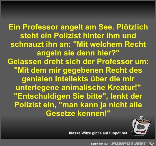 Ein Professor angelt am See