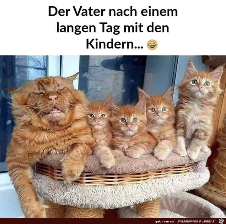 der vater