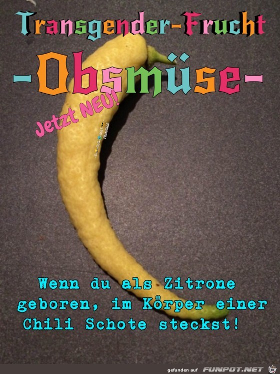 Obsmuese Obsmuese