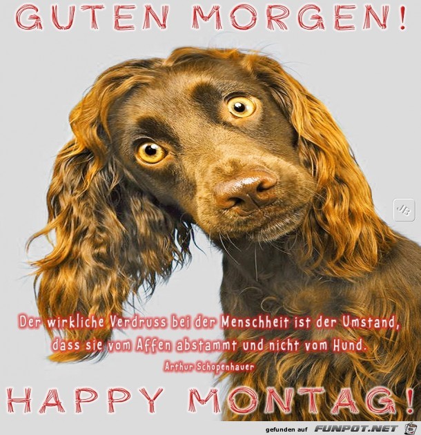 Montag