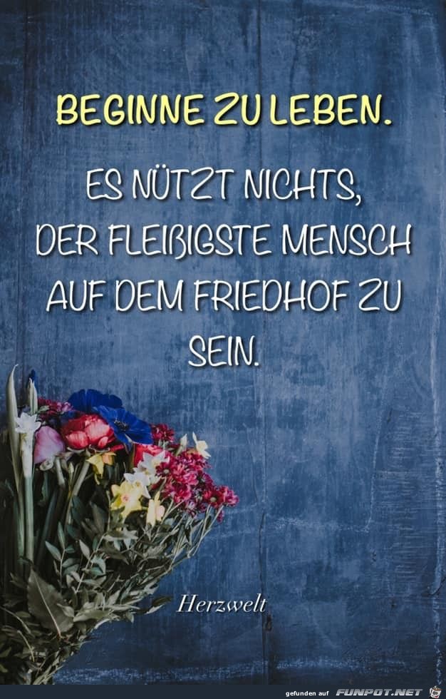 Beginne zu leben...