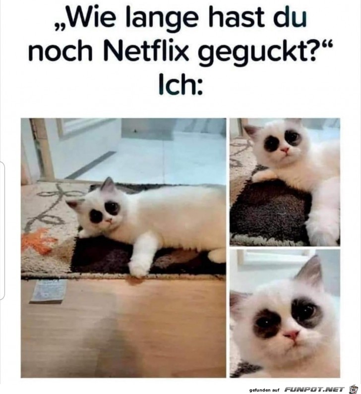 wie lange hast du noch Netflix geguckt ?