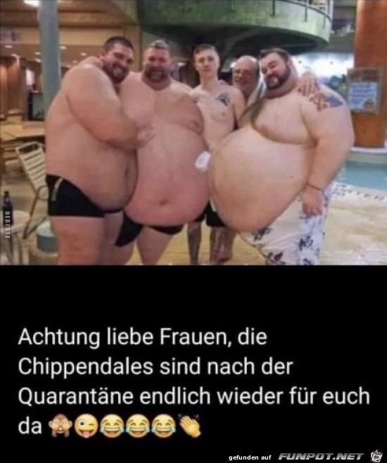 Die Chippendales sind wieder da