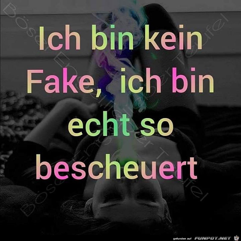 Ich bin kein Fake