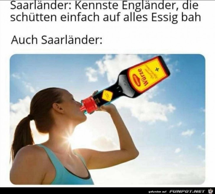 Die Saarländer Die Saarländer