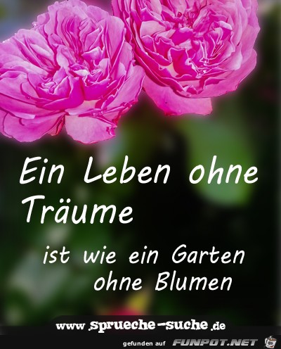 Ein Leben ohne Trume