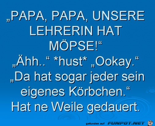 Jeder Hund hat sein eigenes Körbchen Jeder Hund hat sein eigenes Körbchen