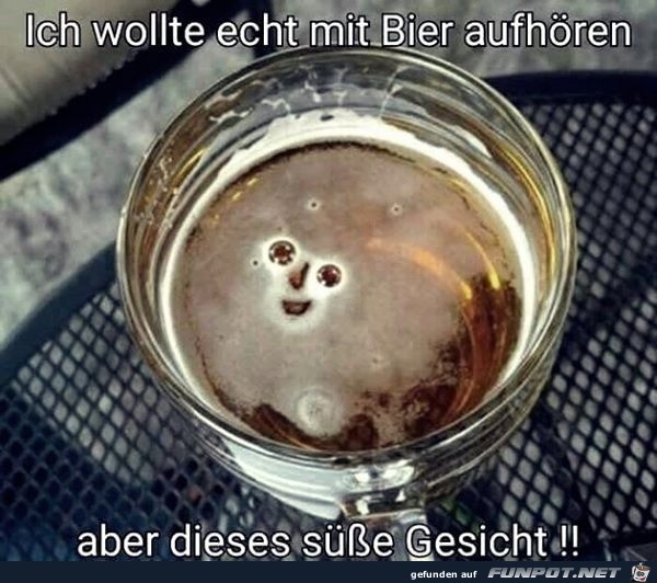 Wollte mit dem Bier aufhören Wollte mit dem Bier aufhören