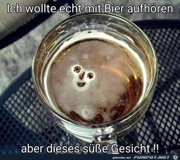 Wollte mit dem Bier aufhren