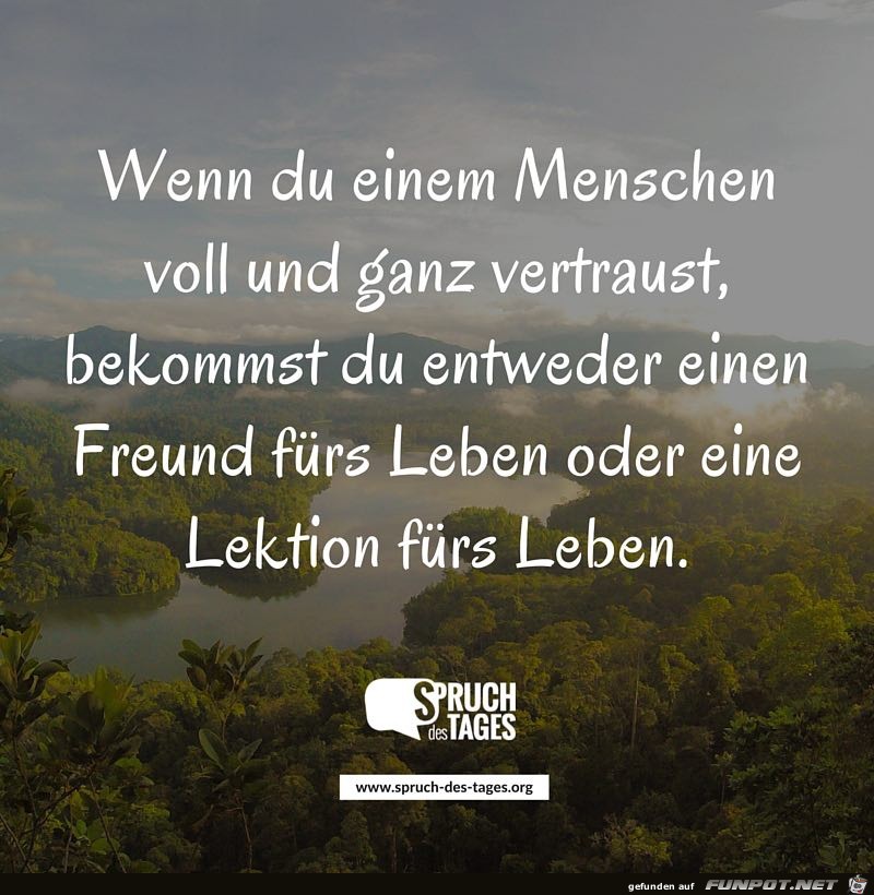 Get Lebensweisheiten weisheitssprueche ueber menschen Free
