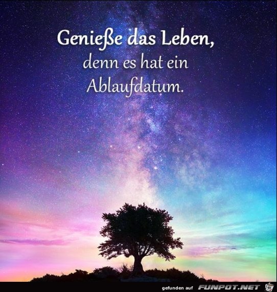 Geniee das Leben