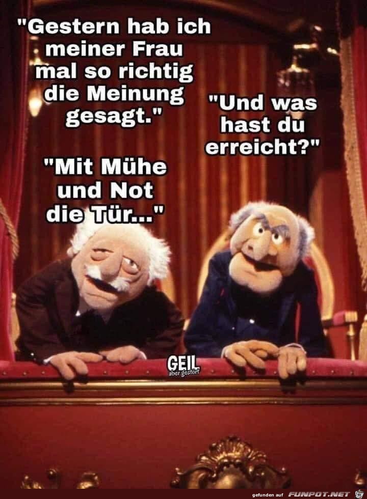 Meinung