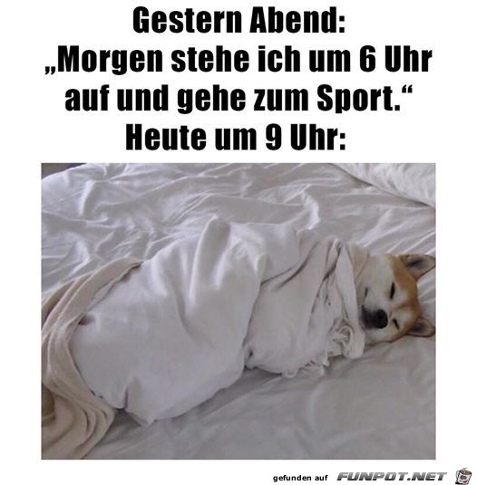 War heute nichts mit dem Sport