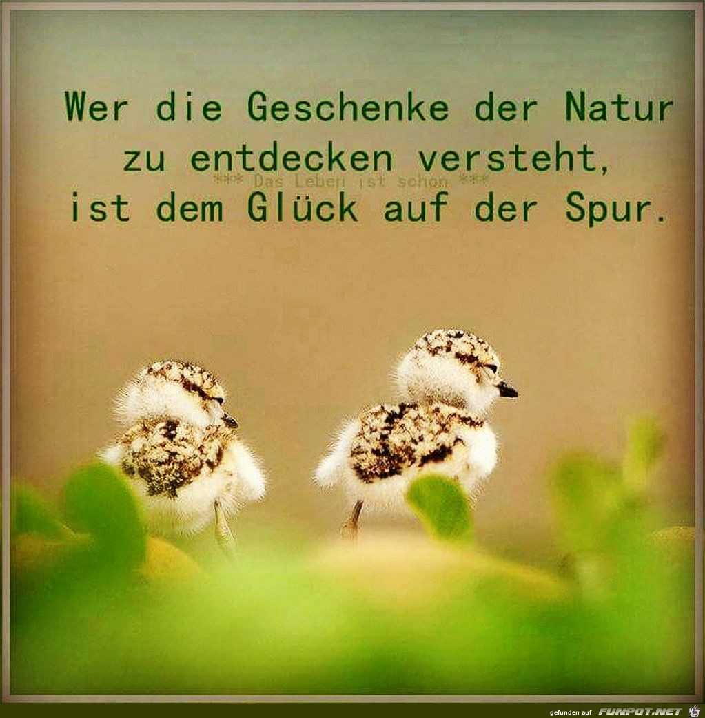 Die Geschenke der Natur