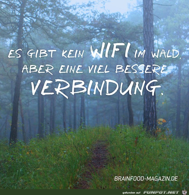 Kein Wifi im Wald