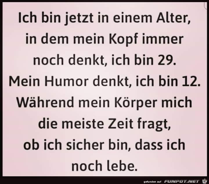 Vergleich Humor und Krper