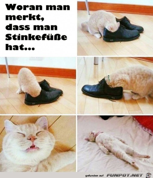 Dein Schuhe miefen