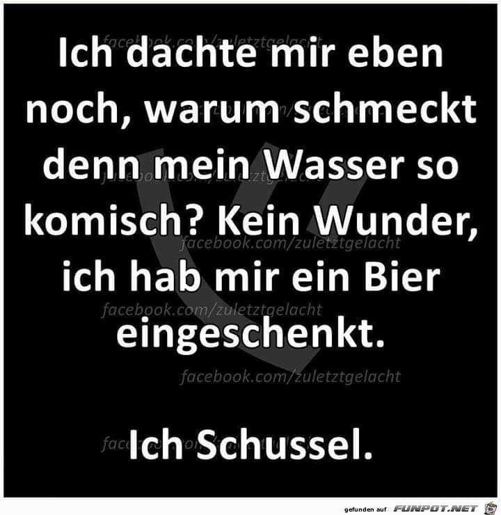 Schussel