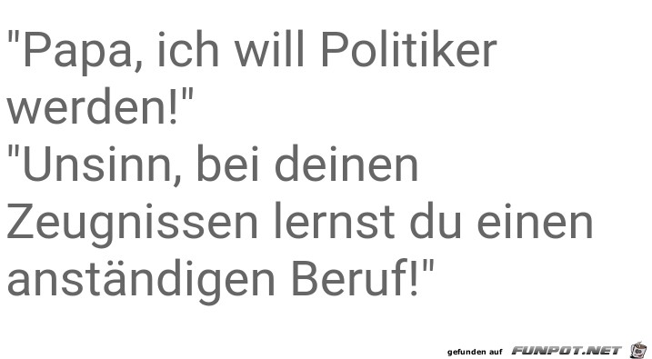 Ich will Politiker werden