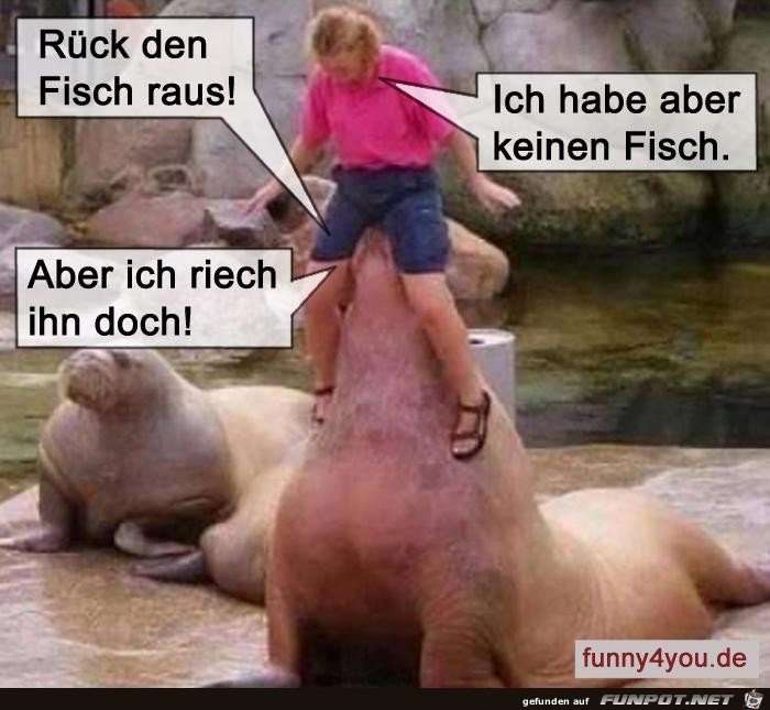 Rueck den Fisch raus