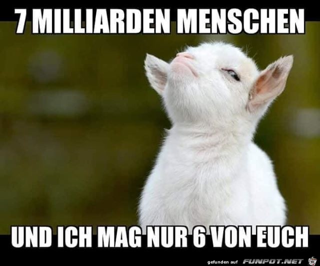 Ich mag nur 6 von euch