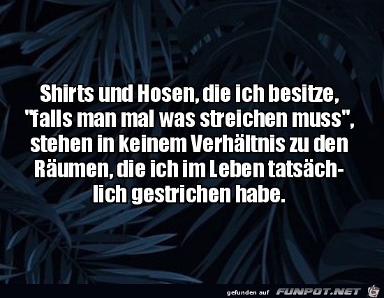 Shirts frs Streichen