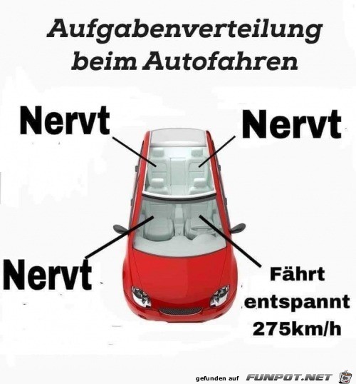 Aufgabenverteilung beim Autofahren